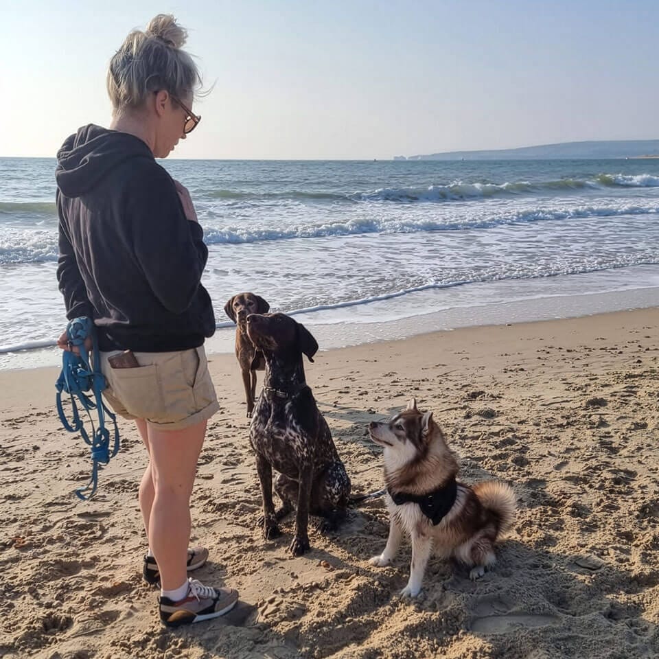 keren-trains-dogs Keren trains dogs on the beach