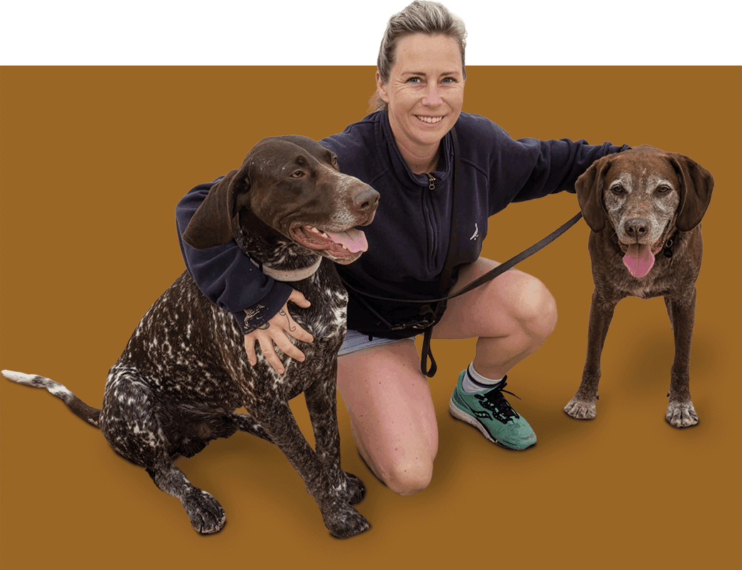 K9 Perspectives – Clinical Animal Behaviourist