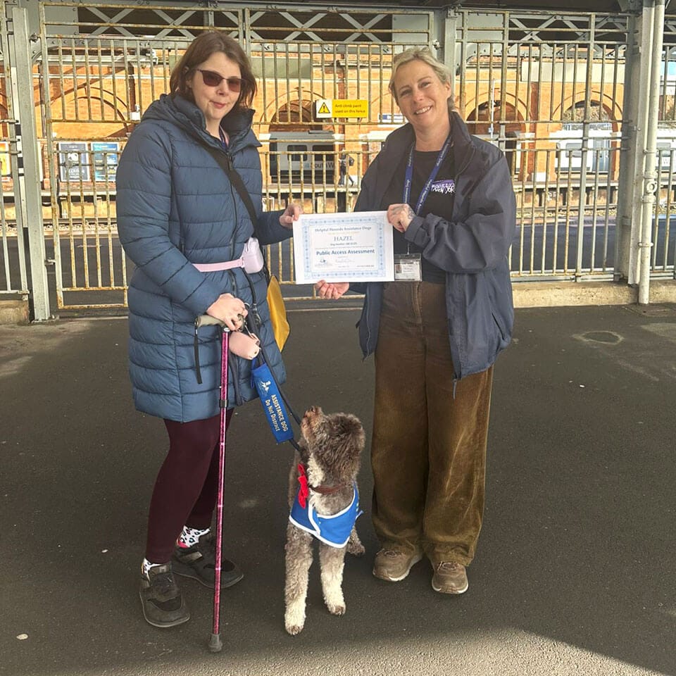 Helpful Hounds Assistance Dogs