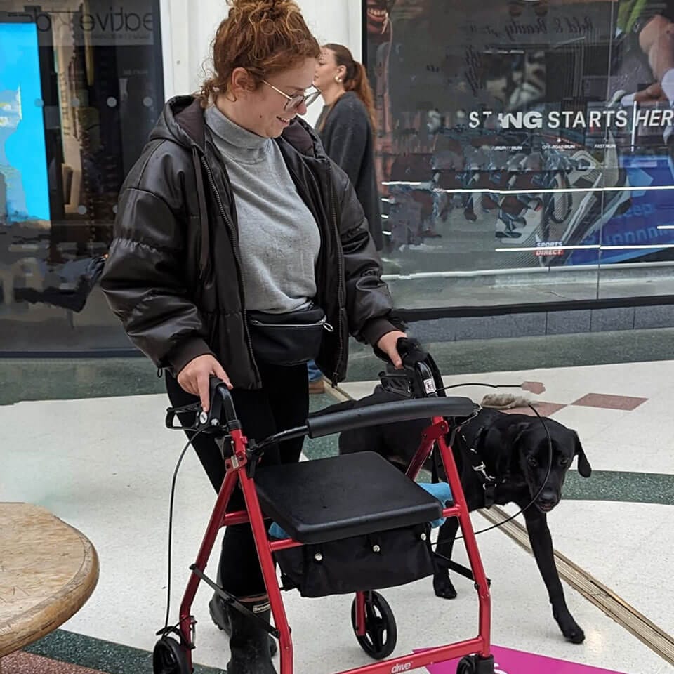 assistance-dogs-2 Community Dogs