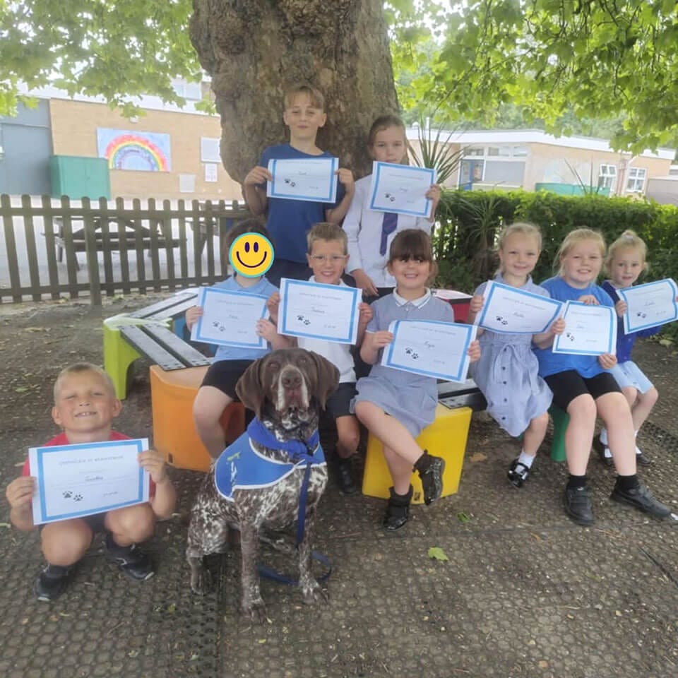 assistance-dogs-3 Confidence-building workshops and ongoing sessions for children