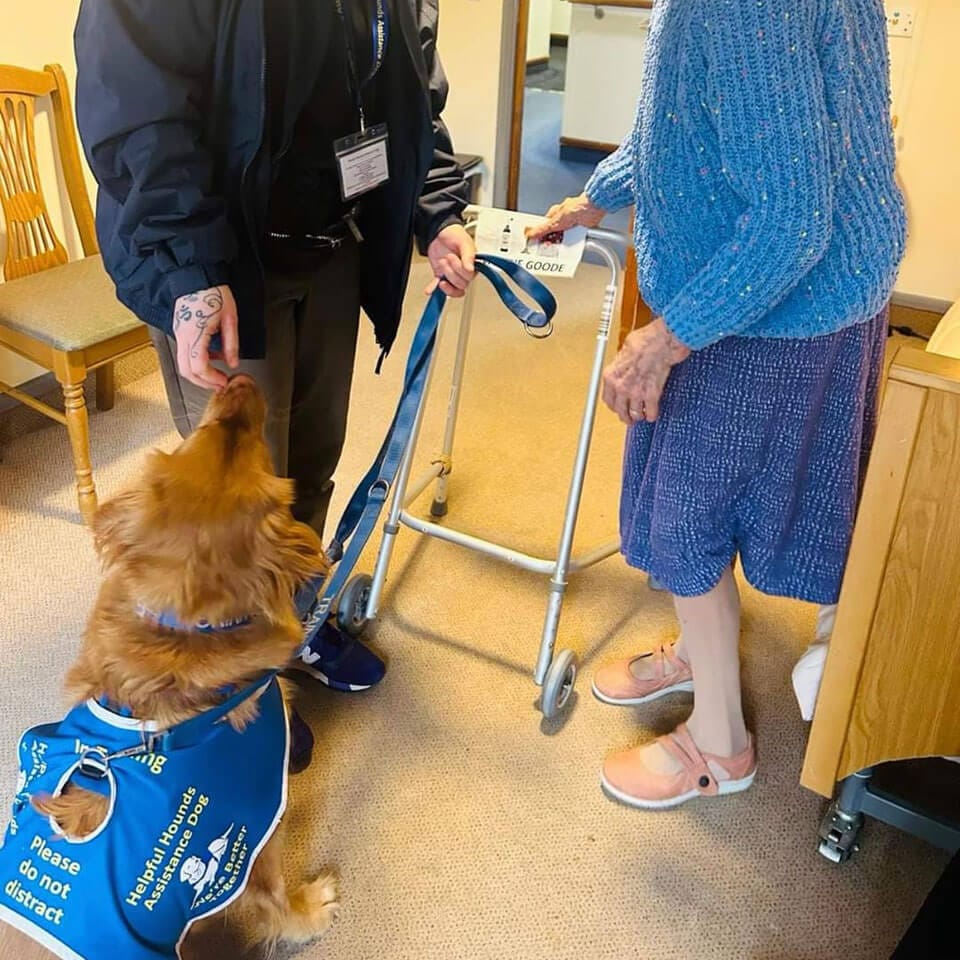 assistance-dogs-4 Helpful Hounds Assistance Dogs