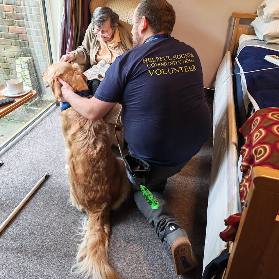 healthy-hounds-community-dogs Helpful Hounds Assistance Dogs